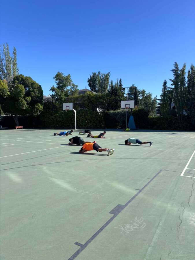 prebasket